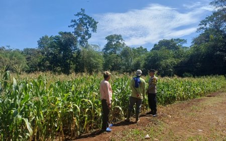 Dari Lahan hingga Hasil Tani, Polisi Ikut Kawal Rantai Pangan di Malang