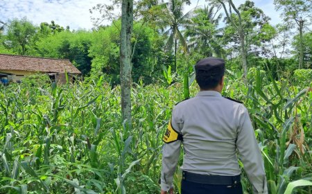 Tak Hanya Tanam, Polisi Ikut Kawal Hasil Pertanian Warga